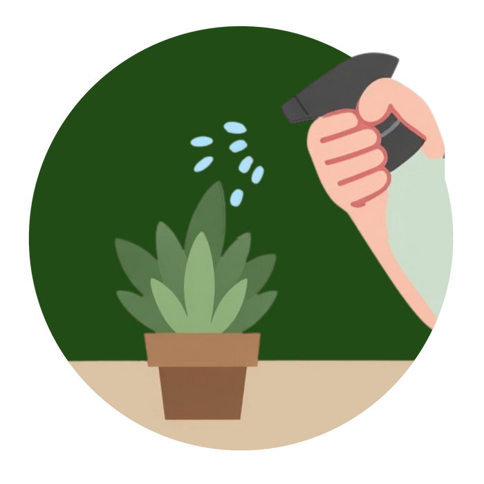 Garden Sprayers