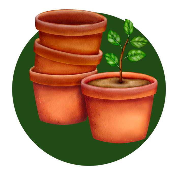 Pots & Trays
