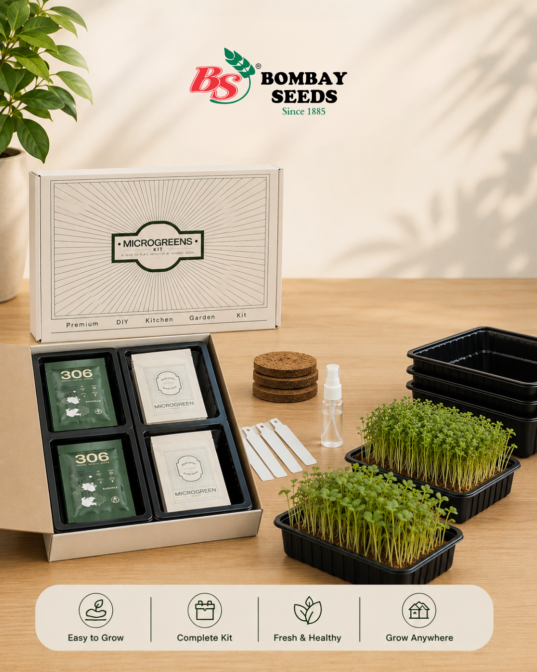Superfood Power Pack - Microgreen Kit of 4 [Kale Green, Kale Purple, Broccoli, Swiss Chard]