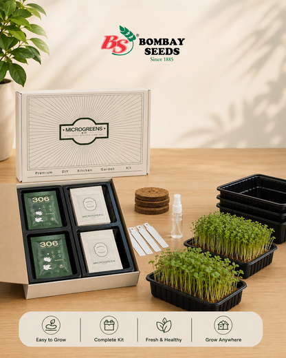 Superfood Power Pack - Microgreen Kit of 4 [Kale Green, Kale Purple, Broccoli, Swiss Chard]