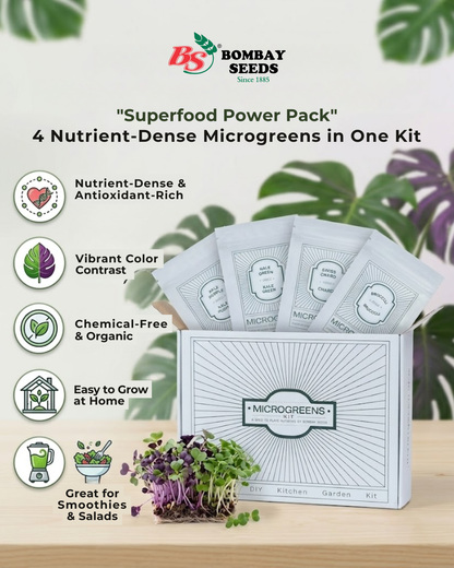 Superfood Power Pack - Microgreen Kit of 4 [Kale Green, Kale Purple, Broccoli, Swiss Chard]