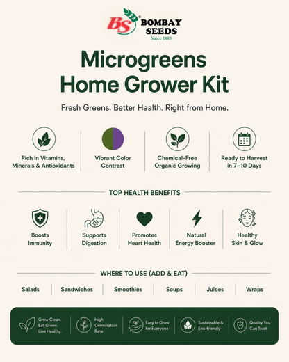 Superfood Power Pack - Microgreen Kit of 4 [Kale Green, Kale Purple, Broccoli, Swiss Chard]