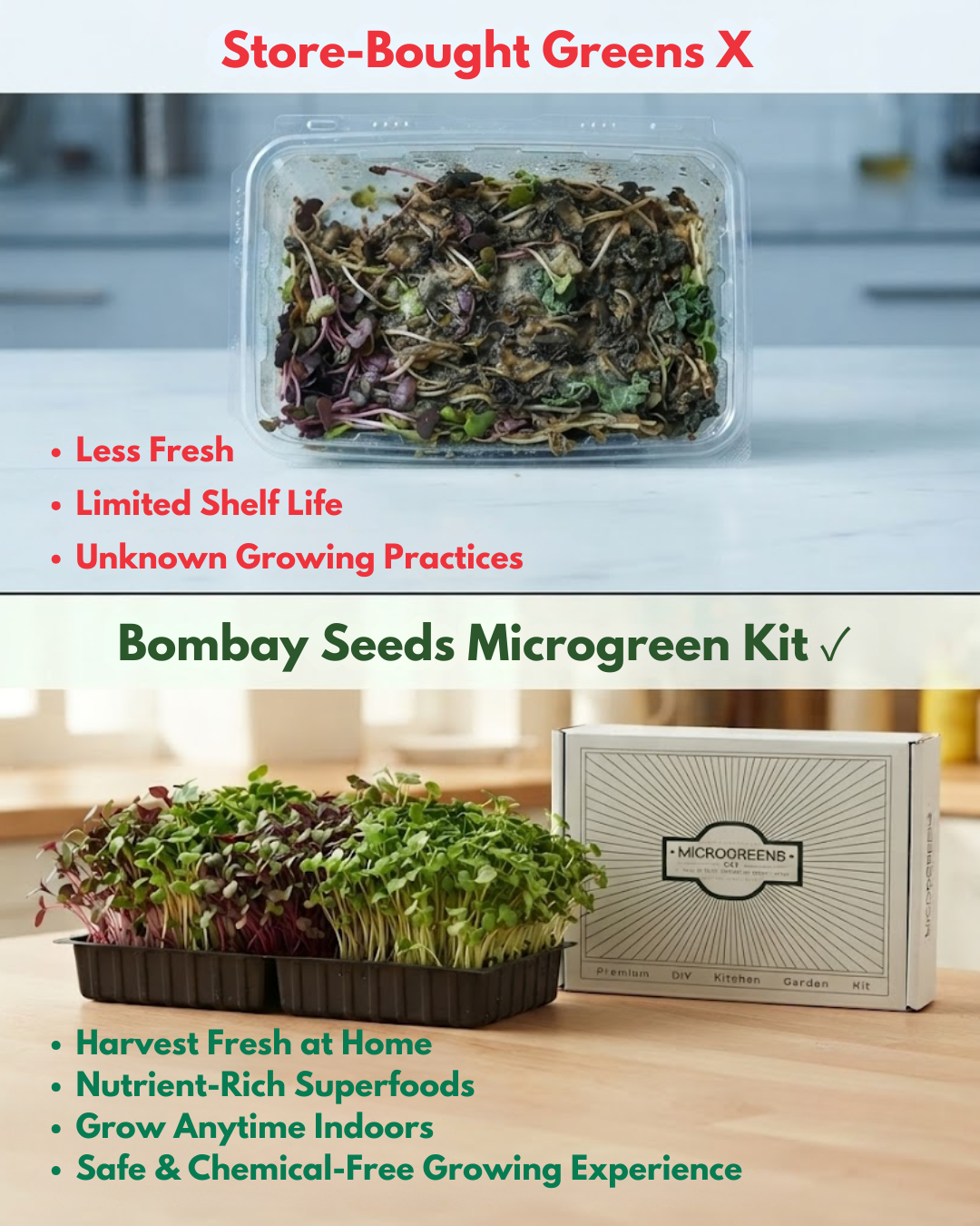 Superfood Power Pack - Microgreen Kit of 4 [Kale Green, Kale Purple, Broccoli, Swiss Chard]
