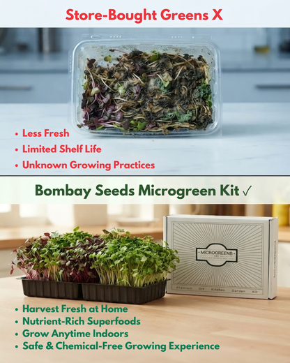 Superfood Power Pack - Microgreen Kit of 4 [Kale Green, Kale Purple, Broccoli, Swiss Chard]