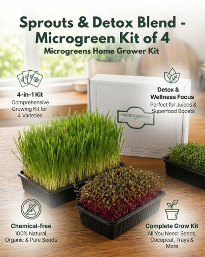 Sprouts &amp; Detox Blend - Microgreen Kit of 4 [Wheat Grass, Alfalfa, Fenugreek, Beetroot]