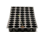 50 holes seedling tray
