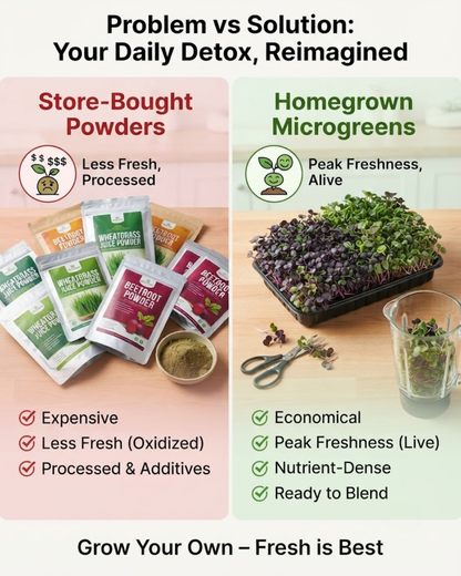 Sprouts &amp; Detox Blend - Microgreen Kit of 4 [Wheat Grass, Alfalfa, Fenugreek, Beetroot]