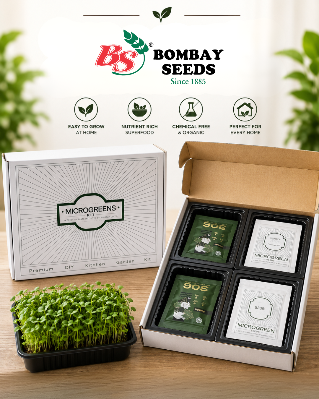 Classic Salad Mix - Microgreens Kit of 4 [Lettuce, Baby Spinach, Basil, Arugula]