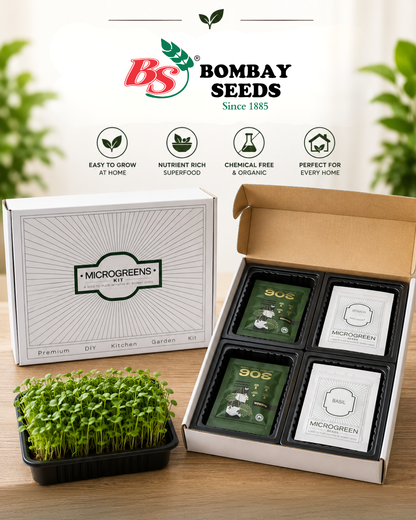 Classic Salad Mix - Microgreens Kit of 4 [Lettuce, Baby Spinach, Basil, Arugula]