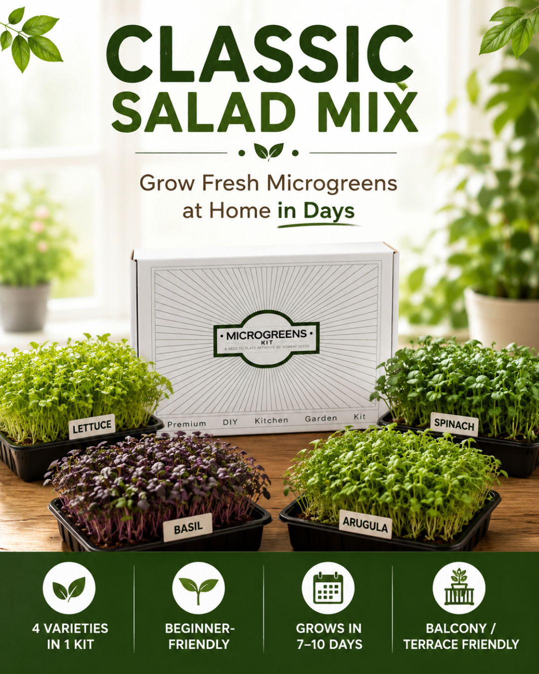 Classic Salad Mix - Microgreens Kit of 4 [Lettuce, Baby Spinach, Basil, Arugula]