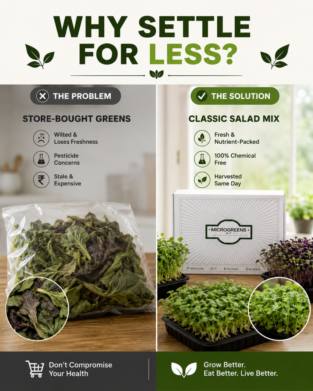 Classic Salad Mix - Microgreens Kit of 4 [Lettuce, Baby Spinach, Basil, Arugula]