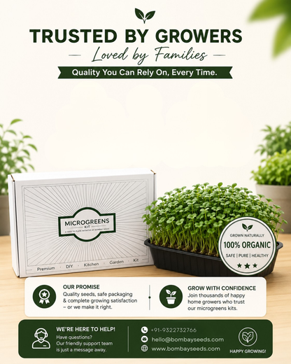Classic Salad Mix - Microgreens Kit of 4 [Lettuce, Baby Spinach, Basil, Arugula]