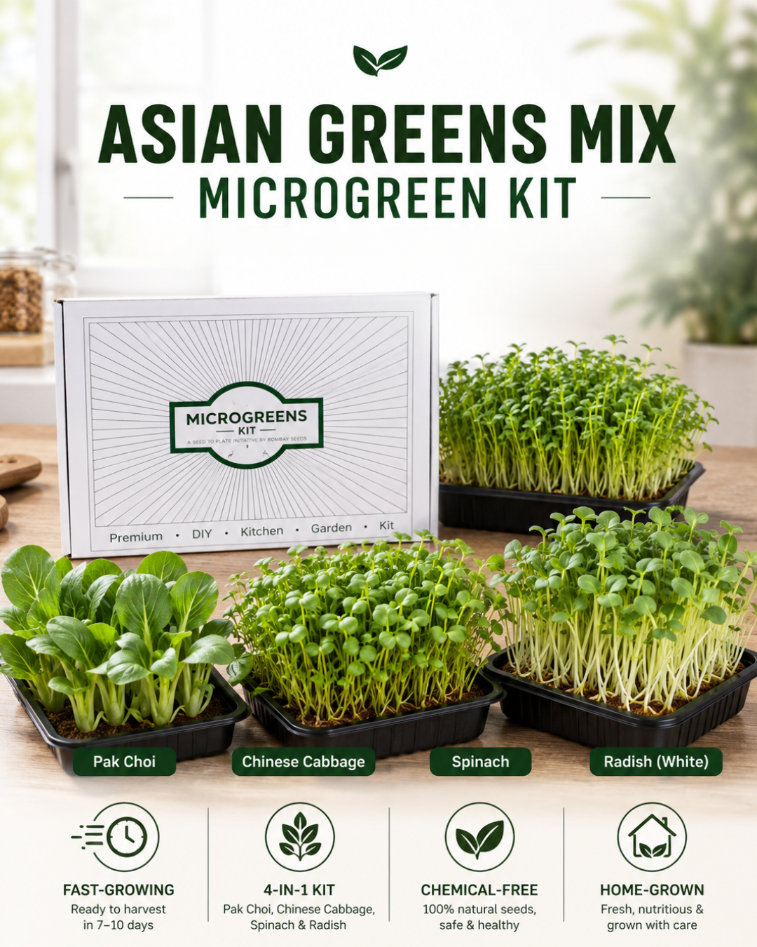 Asian Greens Mix - Microgreen Kit of 4 [ Pak Choi, Chinese Cabbage, Spinach, Radish (White)]