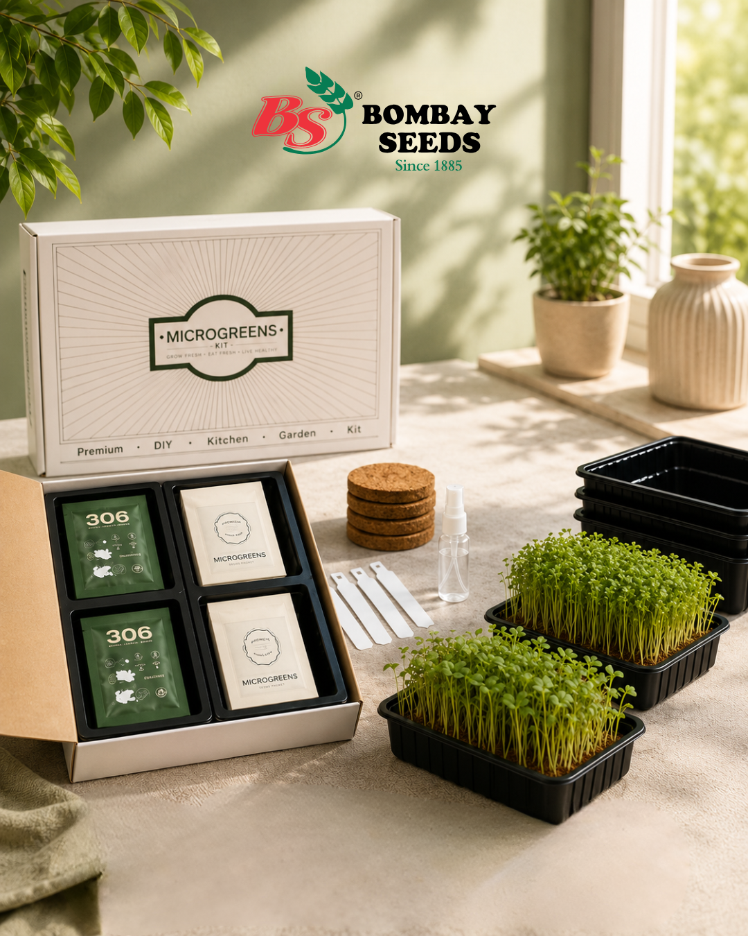 Bold &amp; Zesty Greens - Microgreen Kit of 4 [Alfa Alfa, Fenugreek, Cilantro, Lettuce]