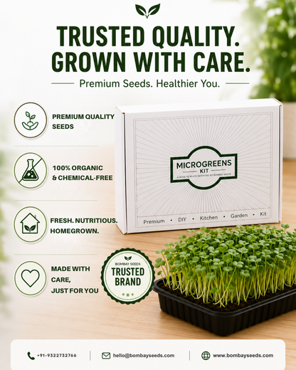 Bold &amp; Zesty Greens - Microgreen Kit of 4 [Alfa Alfa, Fenugreek, Cilantro, Lettuce]