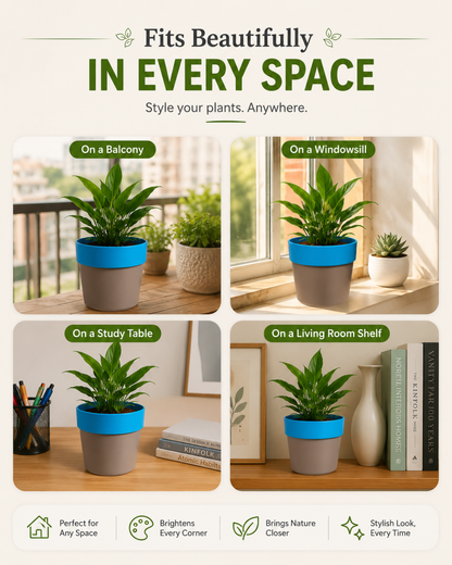 Arty Round Planter