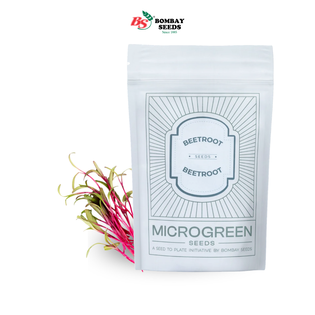 Beetroot Microgreen Seeds (50g)