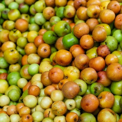 Bor Seed Balls (Pack of 20)