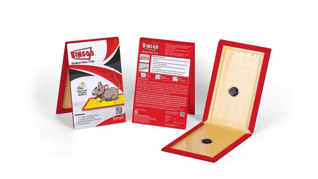 Bingoo Rodent Glue Trap