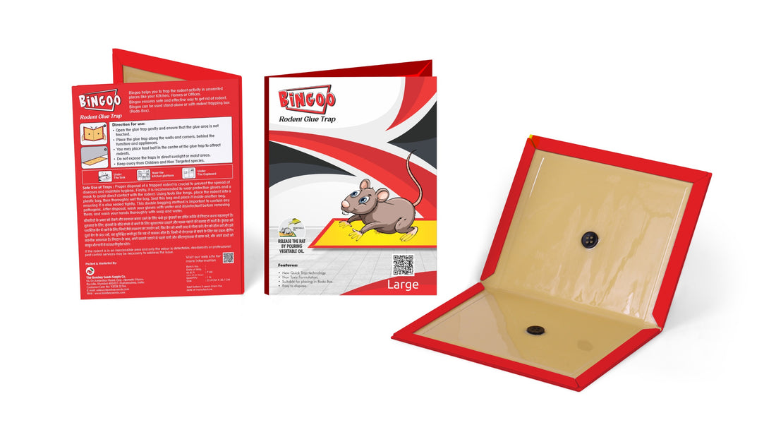 Bingoo Rodent Glue Trap (Large)