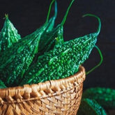 Bitter Gourd Seeds -Bombay Seeds