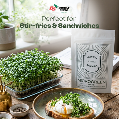 Broccoli Microgreen Seeds (50g)
