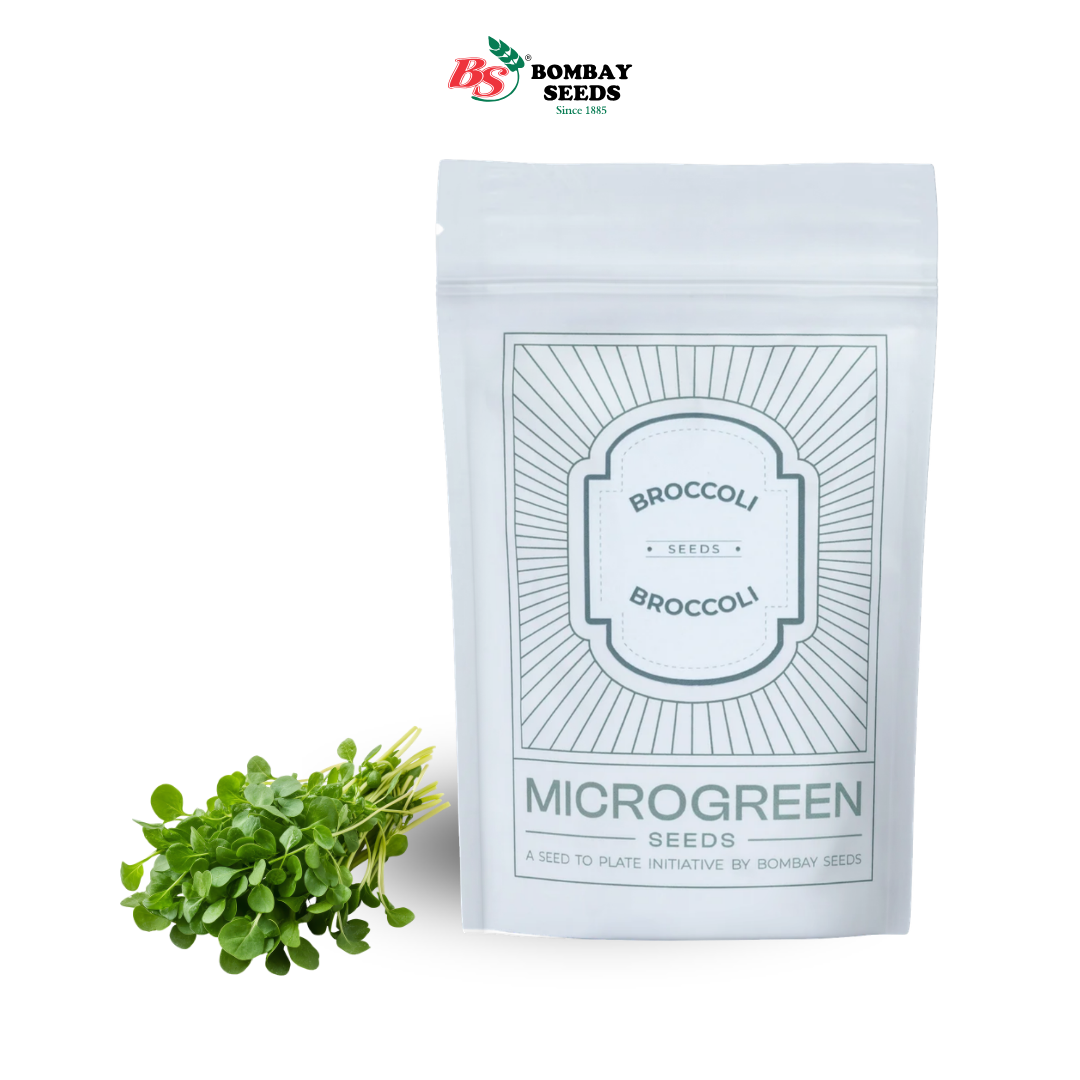 Broccoli Microgreen Seeds (50g)