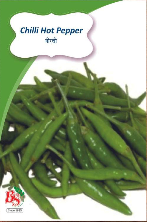 Chilli seeds