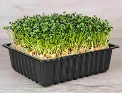 Chinese Cabbage Microgreen Seeds (50g)