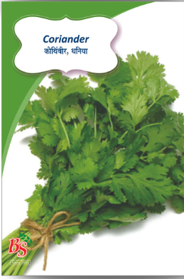 Coriander seed packet with green leaves and brand logo on a white background