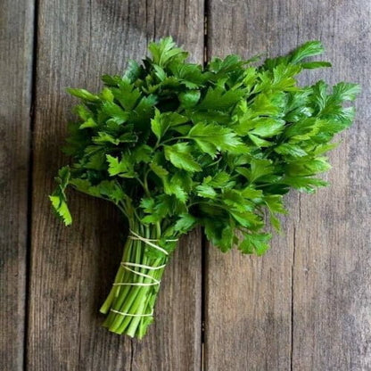 Coriander Seeds