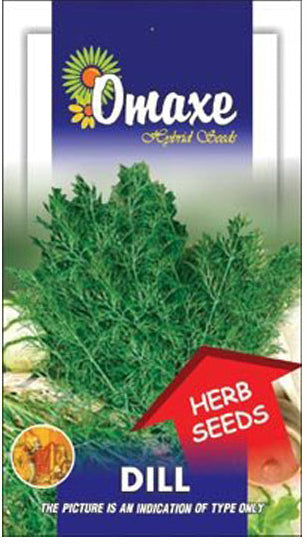 Dill Seeds