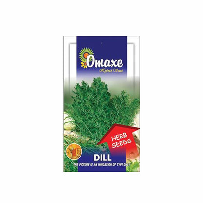 Dill Seeds