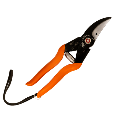 Falcon Major Secateur