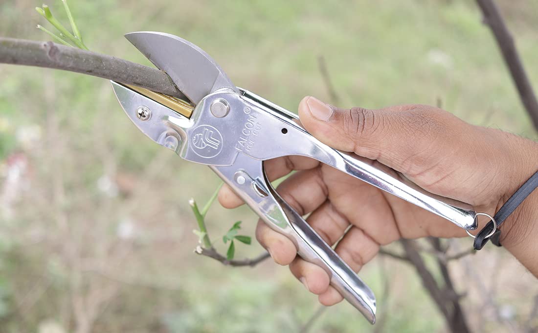 Falcon Regular Secateur