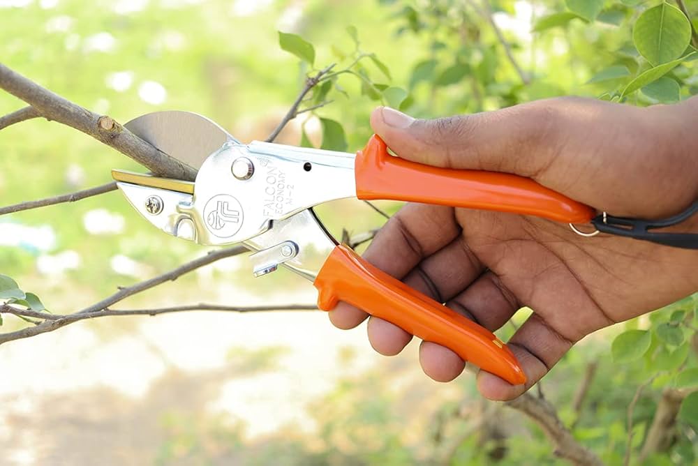 Falcon Super Secateur