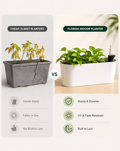Florida Indoor Planter
