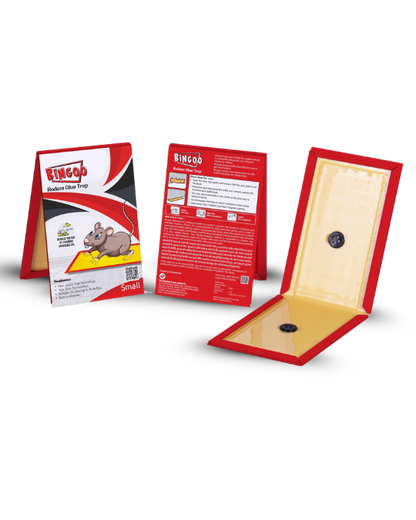 Bingoo Rodent Glue Trap (Small)