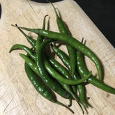 Green Chilli seeds