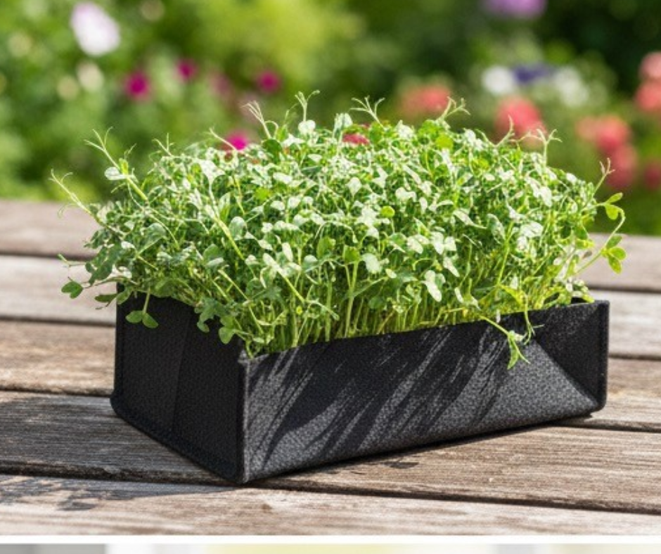 Grow Bags