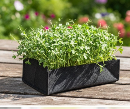 Geofabric Grow Bags