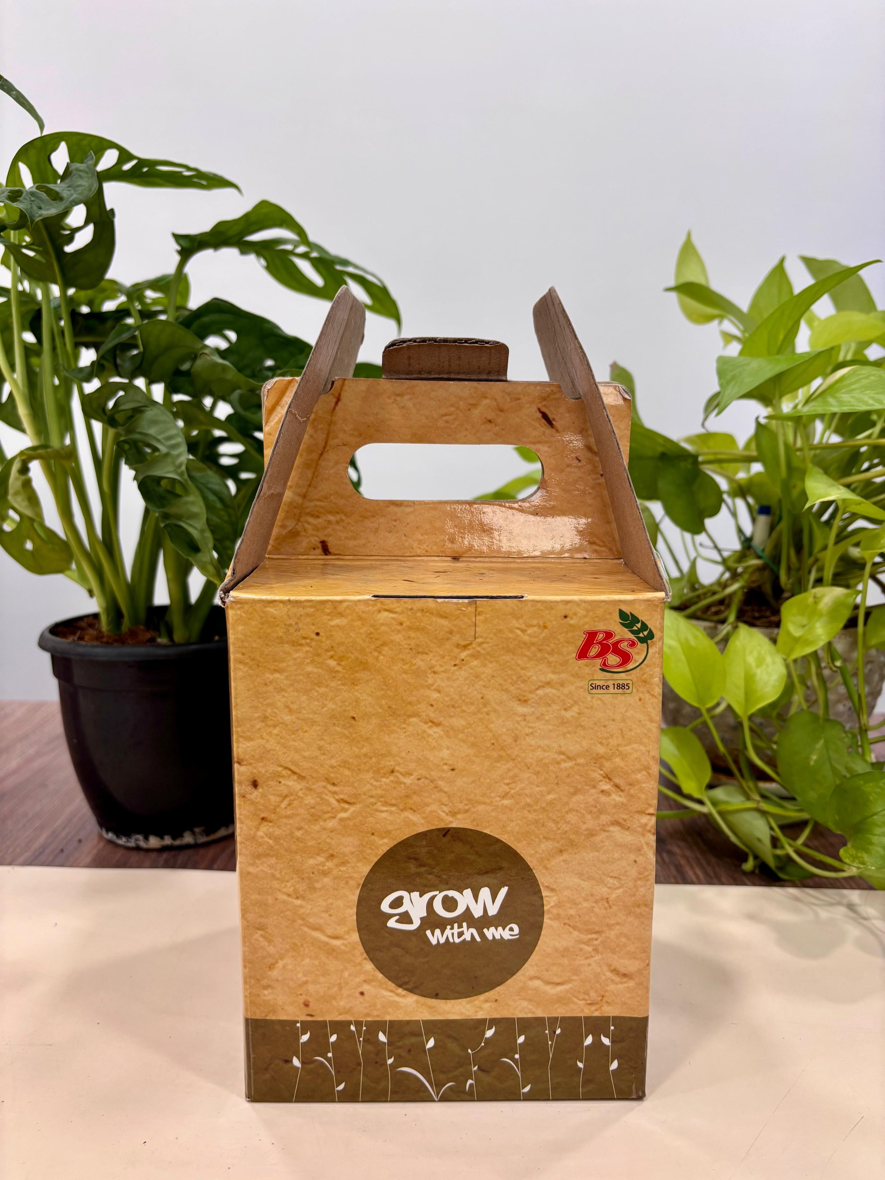 Grow With Me-Beginner-friendly garden kit