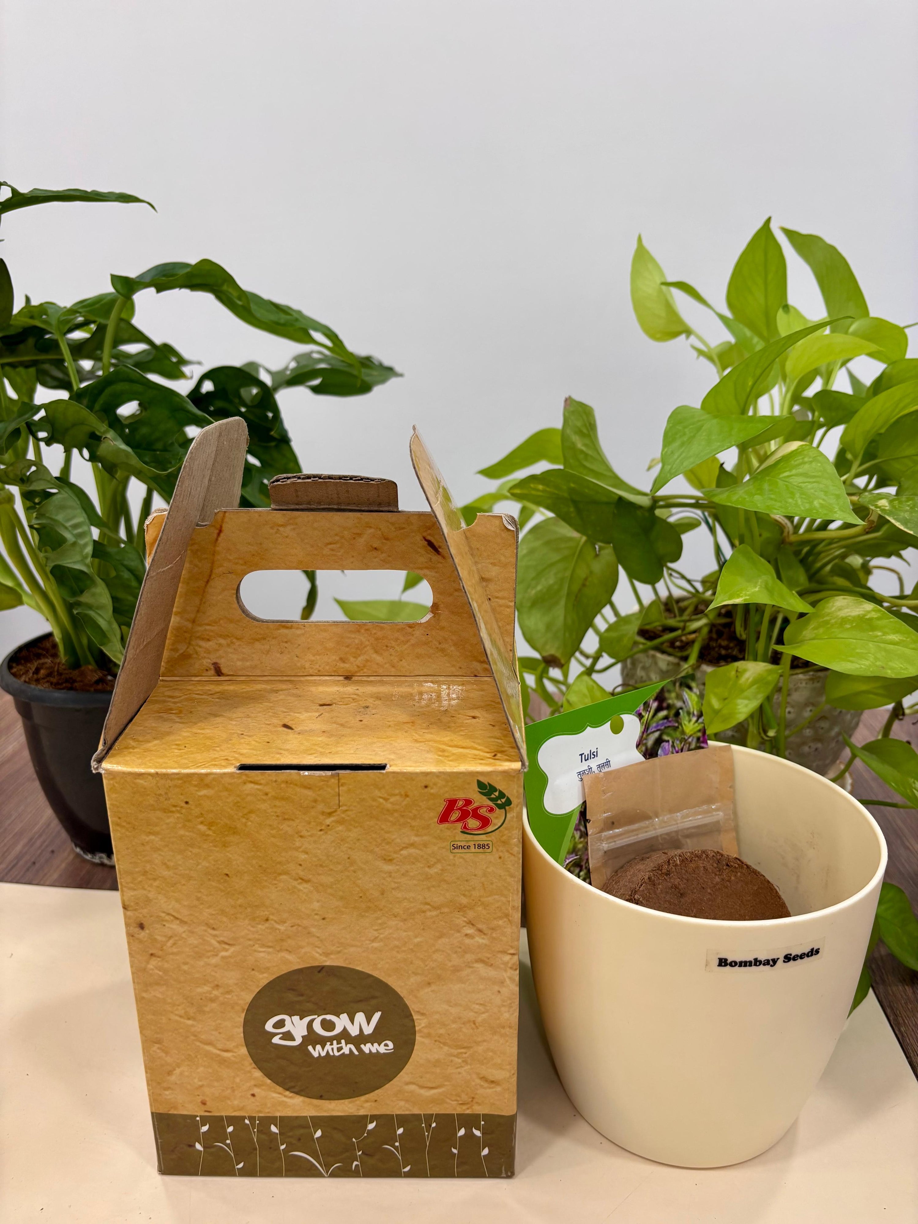 Grow With Me-Beginner-friendly garden kit
