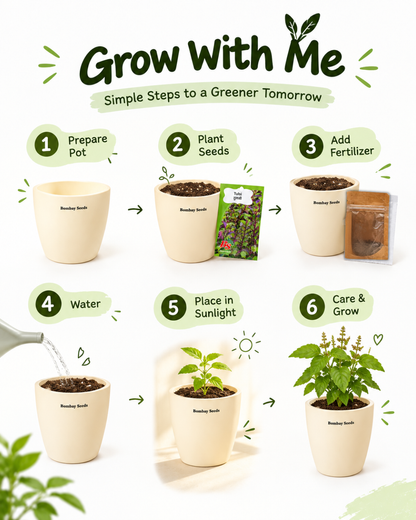 Grow With Me-Beginner-friendly garden kit