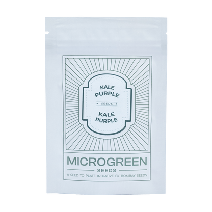 Kale Purple Microgreen Seeds