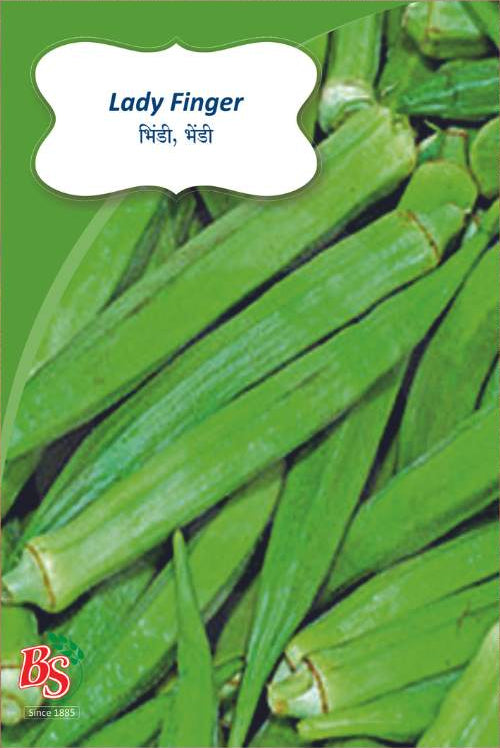 Lady Finger Seeds -Bombay Seeds