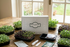 Microgreen Stater Kit