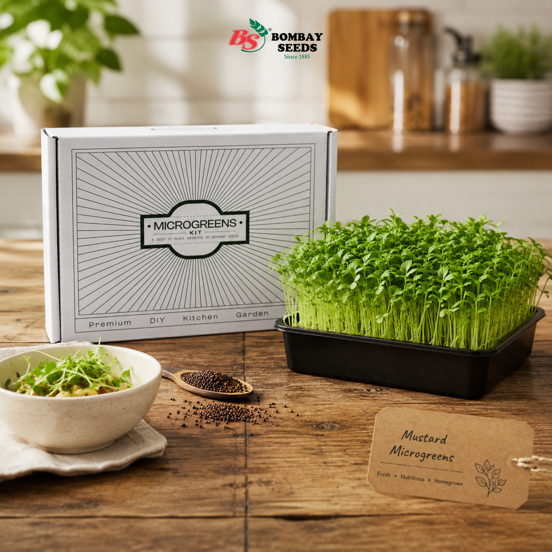 Microgreens Starter Kit