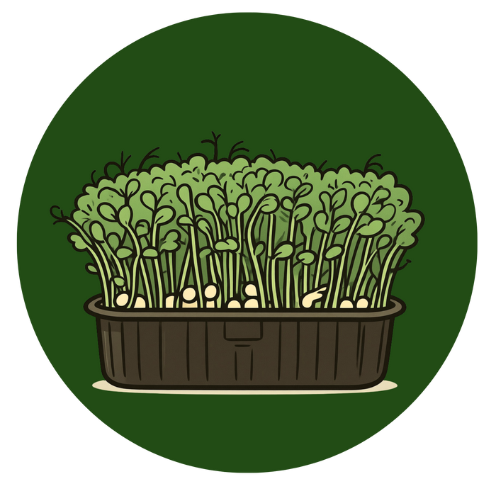 Microgreens Collection