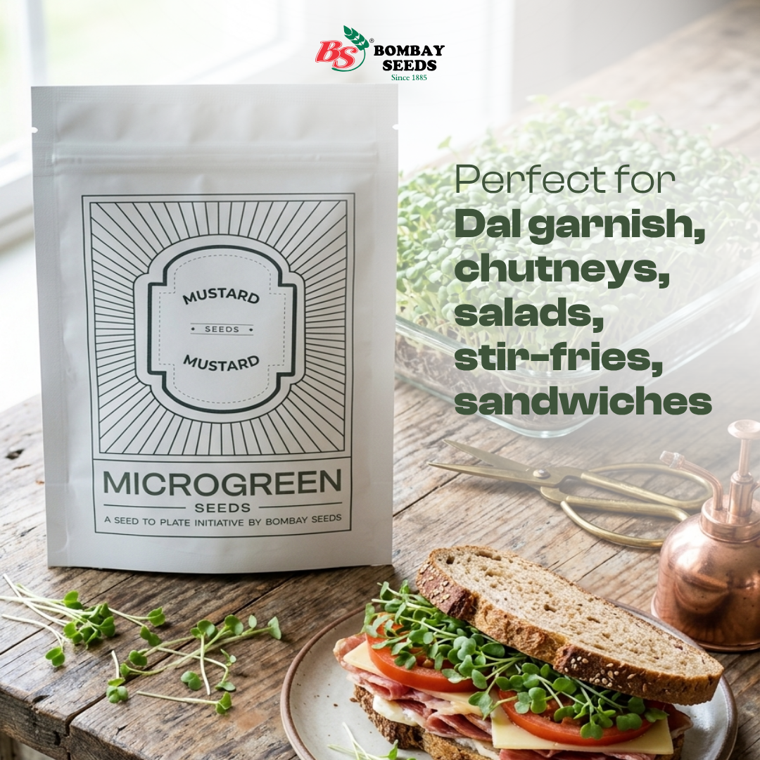 Mustard Microgreen Seeds (50g)